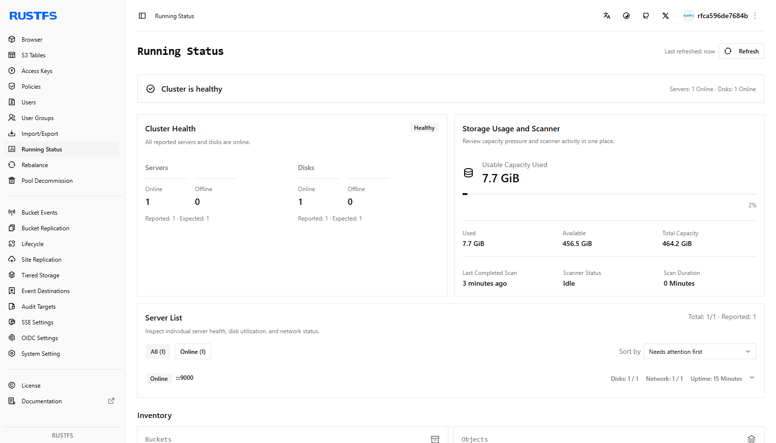 RustFS running status (cluster healthy)
